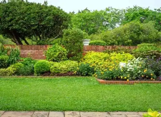 landscaping services Fayette